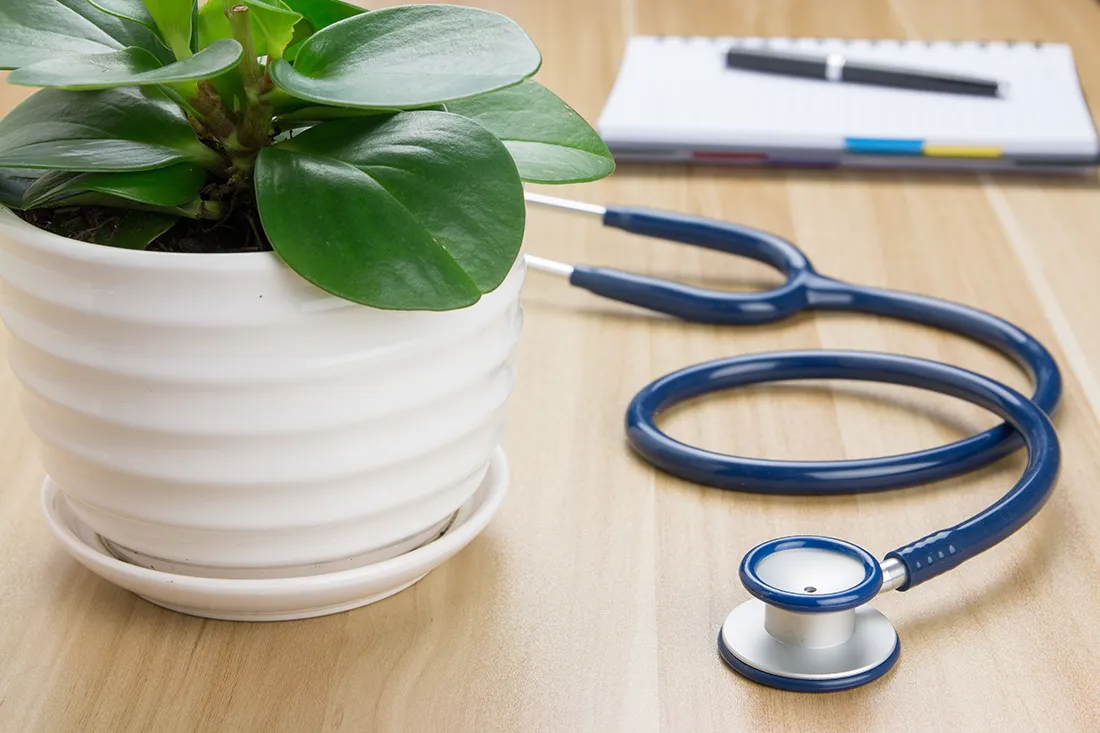 contact-us PRP Orthopedic Doctors office with plant and stethoscope